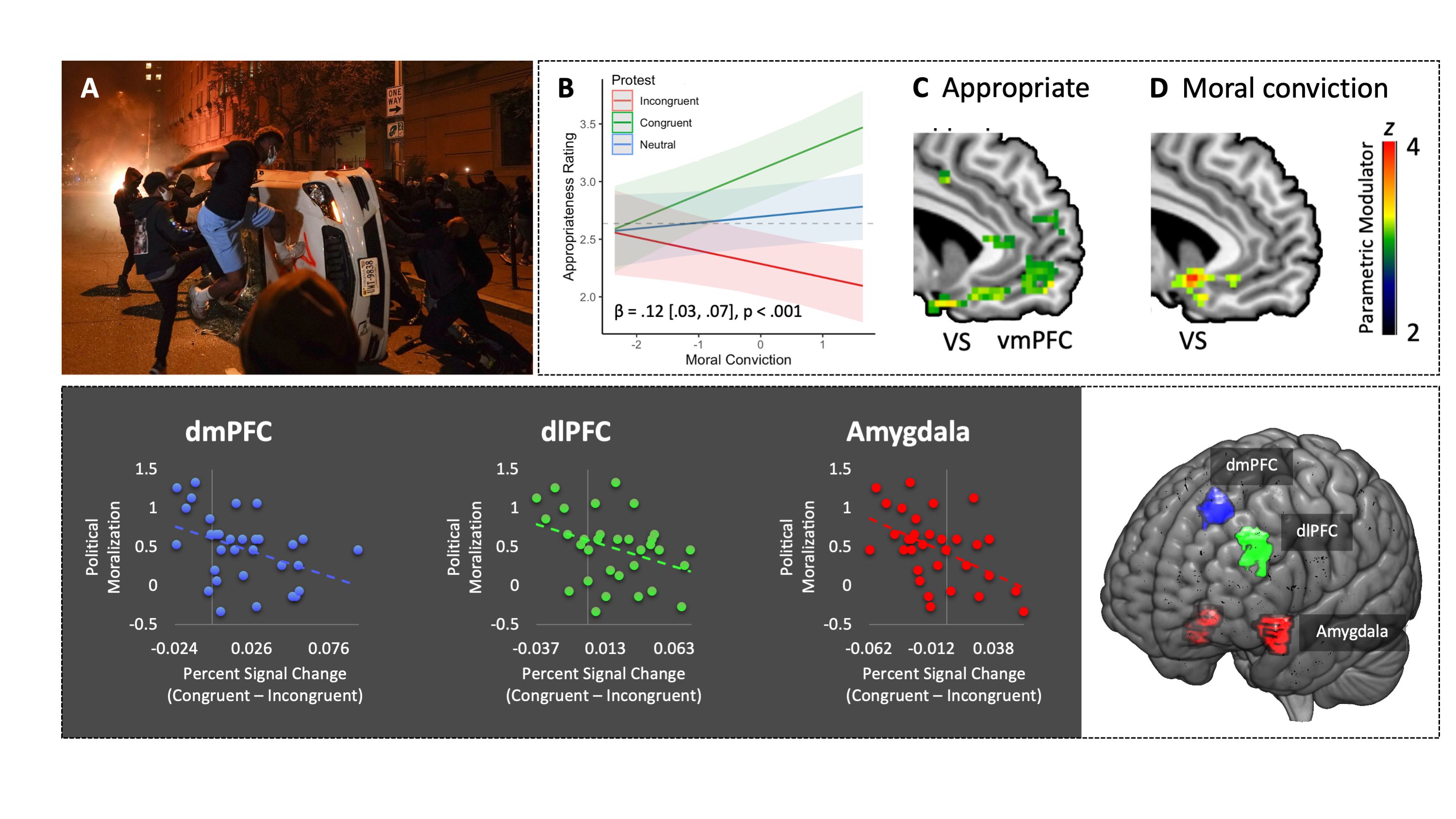 Figure 2: Moral convictions shape the perception and evaluation of violence in the brain circuit, implementing the coding subjective reward value. In the MRI scanner, participants were presented with photographs of violent riots (A) which were either congruent or incongruent with their moral beliefs and political attitudes (B). Parametric increases in neuro-hemodynamic signal in the ventromedial prefrontal cortex (vmPFC) and ventral striatum (VS) predicted evaluations of congruent causes (C) and the intensity of participants' moral convictions (D). The more moralized and legitimate the violence was perceived, the greater a reduction in signal was detected in the dorsomedial prefrontal cortex (dmPFC), dorsolateral prefrontal cortex (dlPFC) and amygdala. Adapted from Workman, Yoder & Decety, 2020).