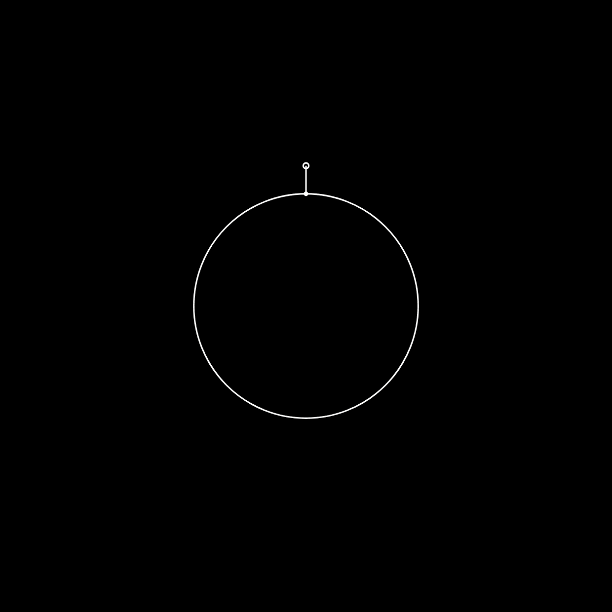 What is the role of the Social Sciences?