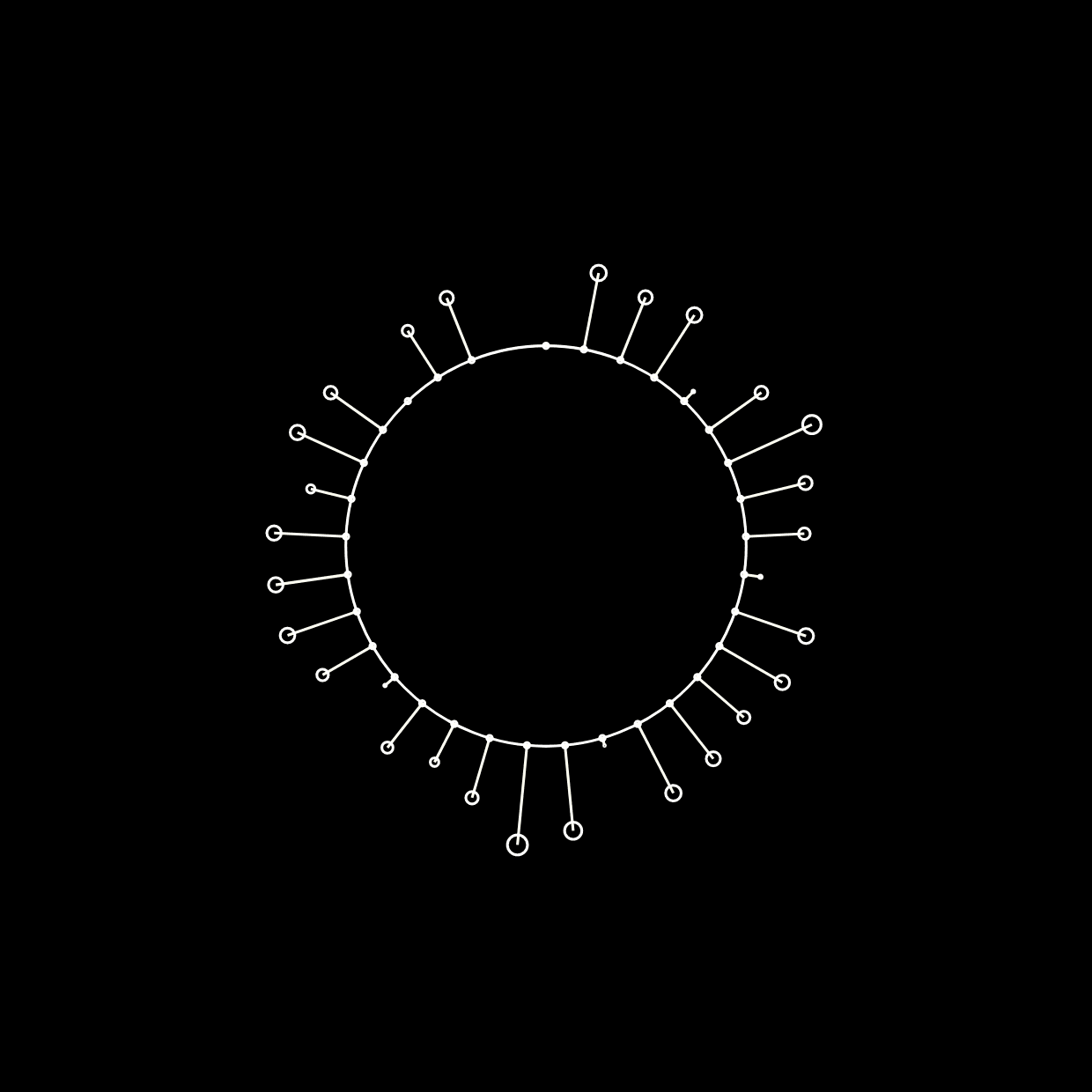 Diversity in Modes of Veridiction in Knowledge Generation for Society. What STEM can learn from the SSH
