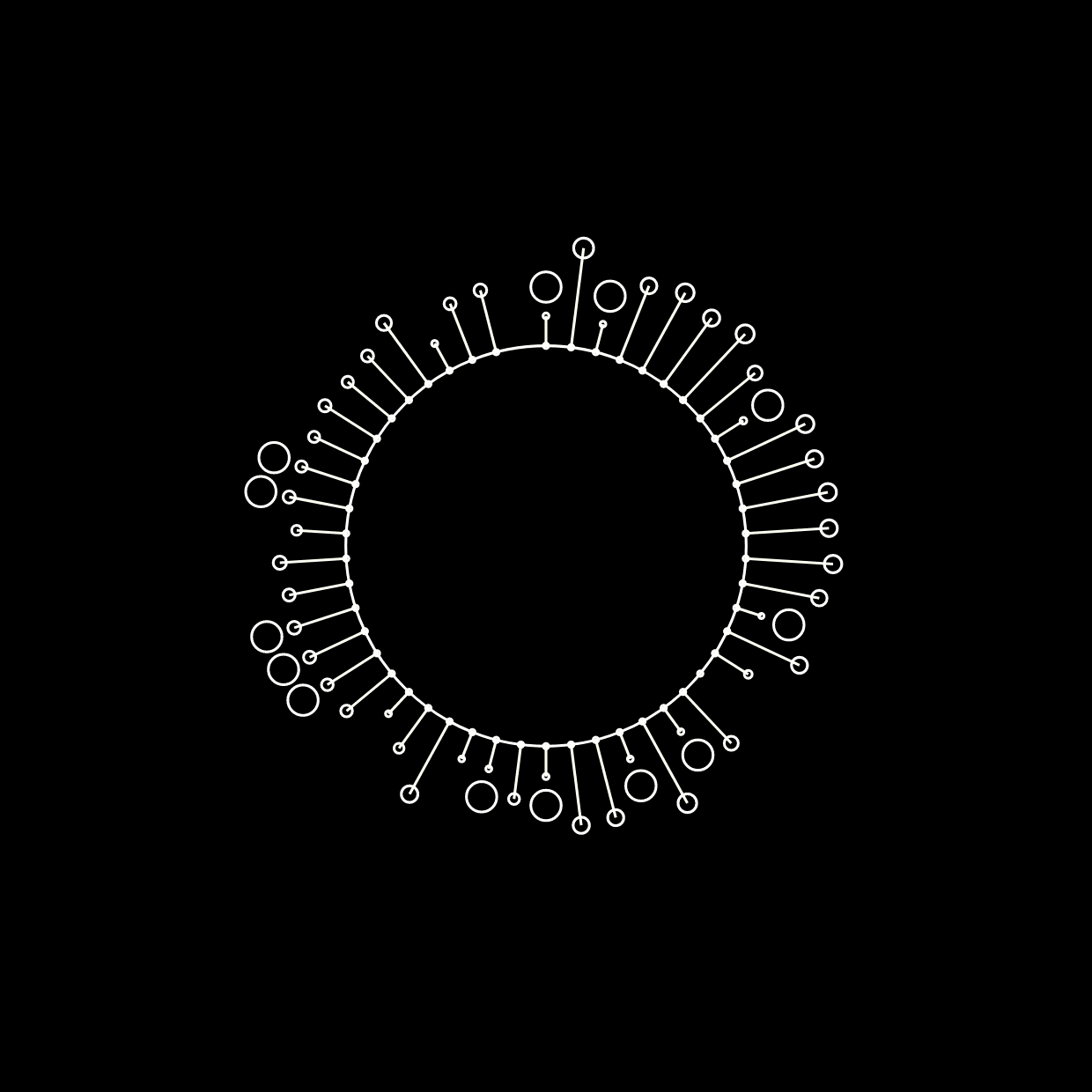 Governance in Crisis: Institutionalizing Reflective Report to Guide Decision Making Under Uncertainty