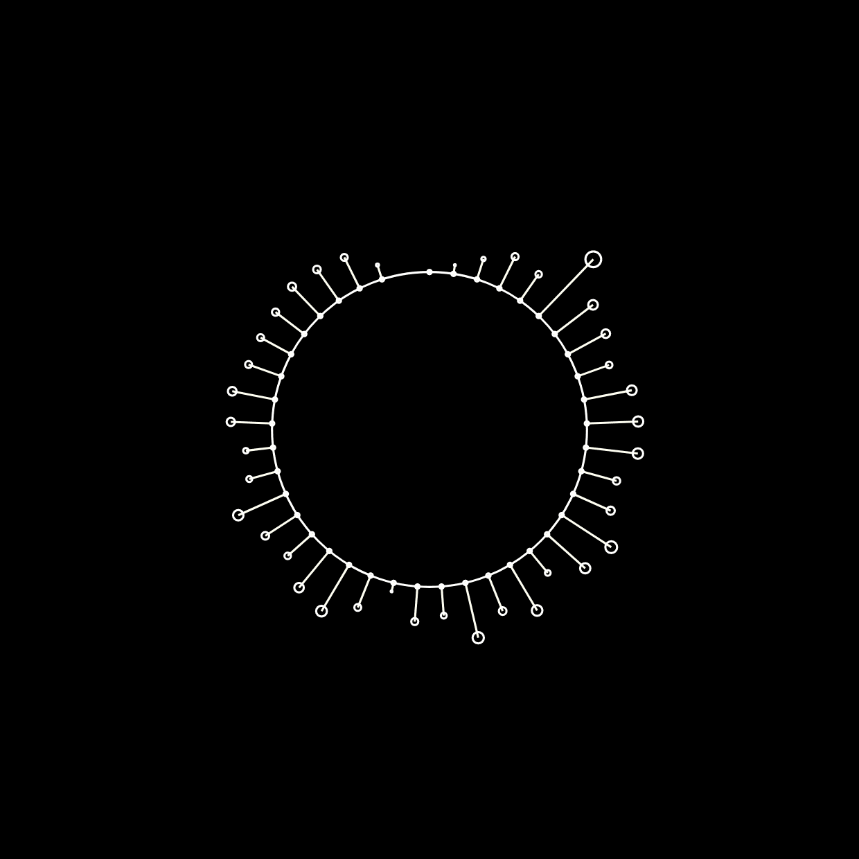 Tribute to Serge Moscovici - Program