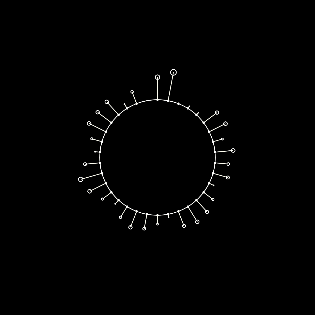 The Brains that Pull the Triggers -  2nd Conference on Syndrome E - Program