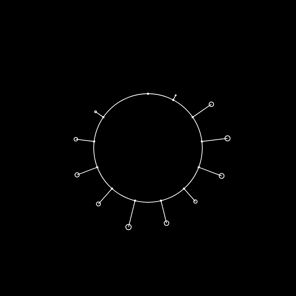 Virtual Realities, Real Experiences. Perspectives from Behavioral and Neuroscience Studies - Program