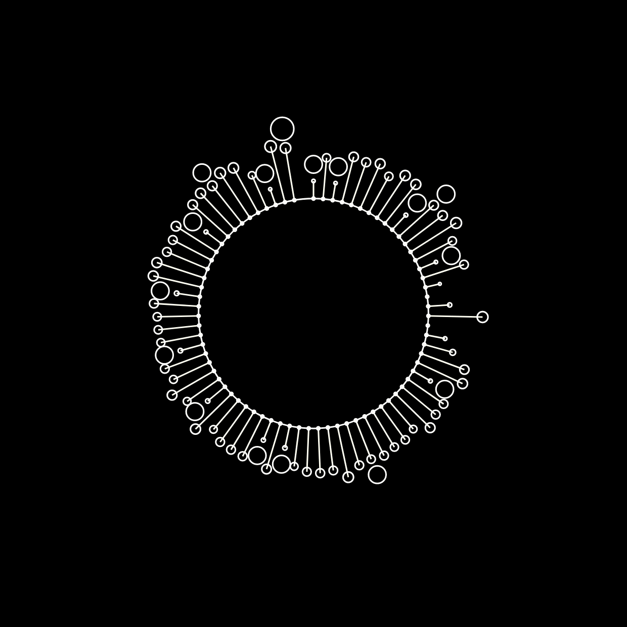 Capitalism in Transition