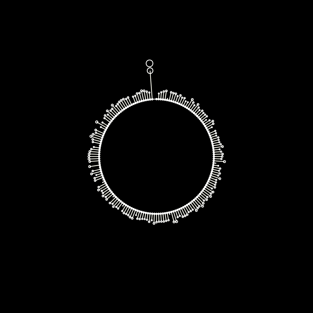 On Travelling Concepts