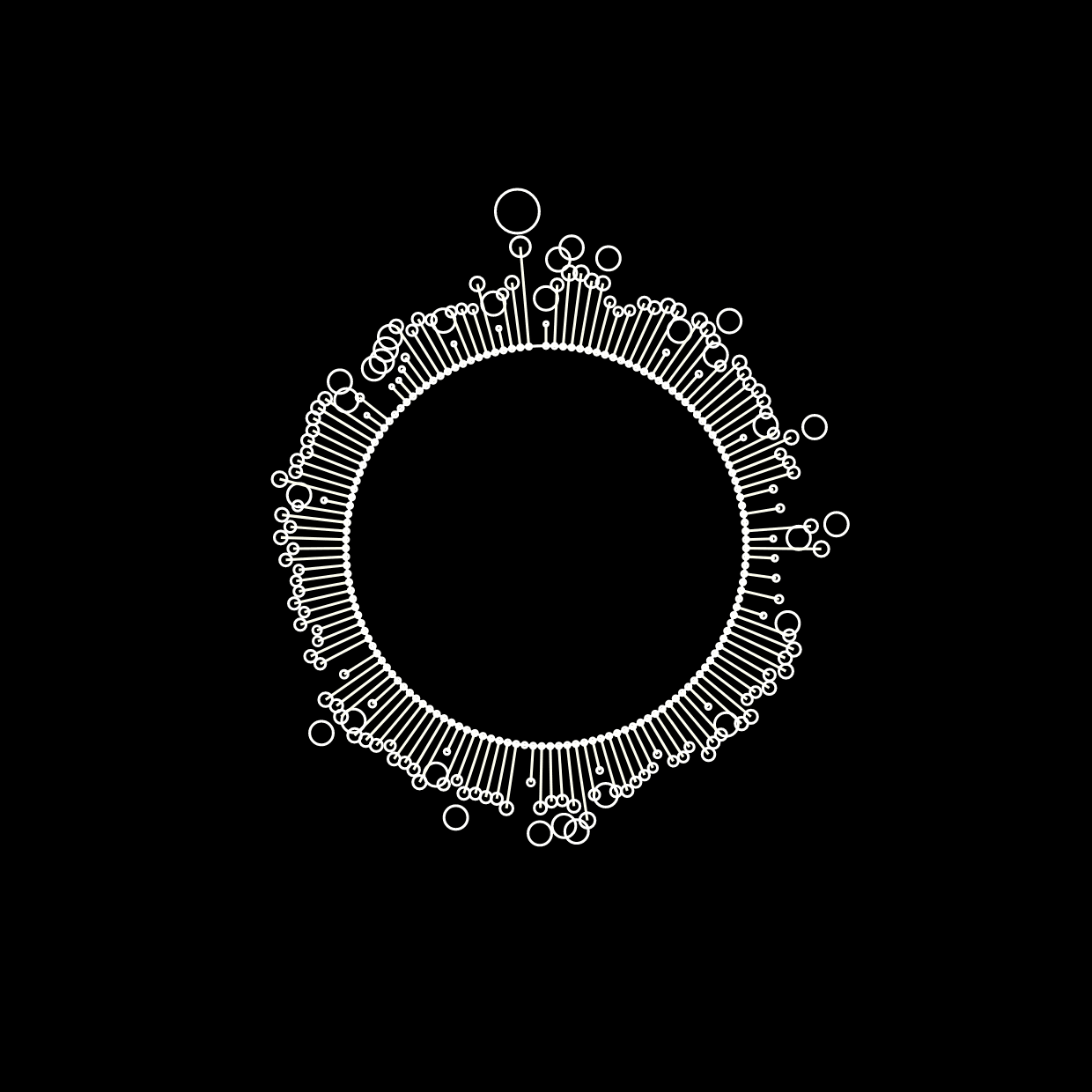 Paths to Recognition through Politics in the 2024 Presidential Election Among Young Workers Living in and Around Manchester, New Hampshire