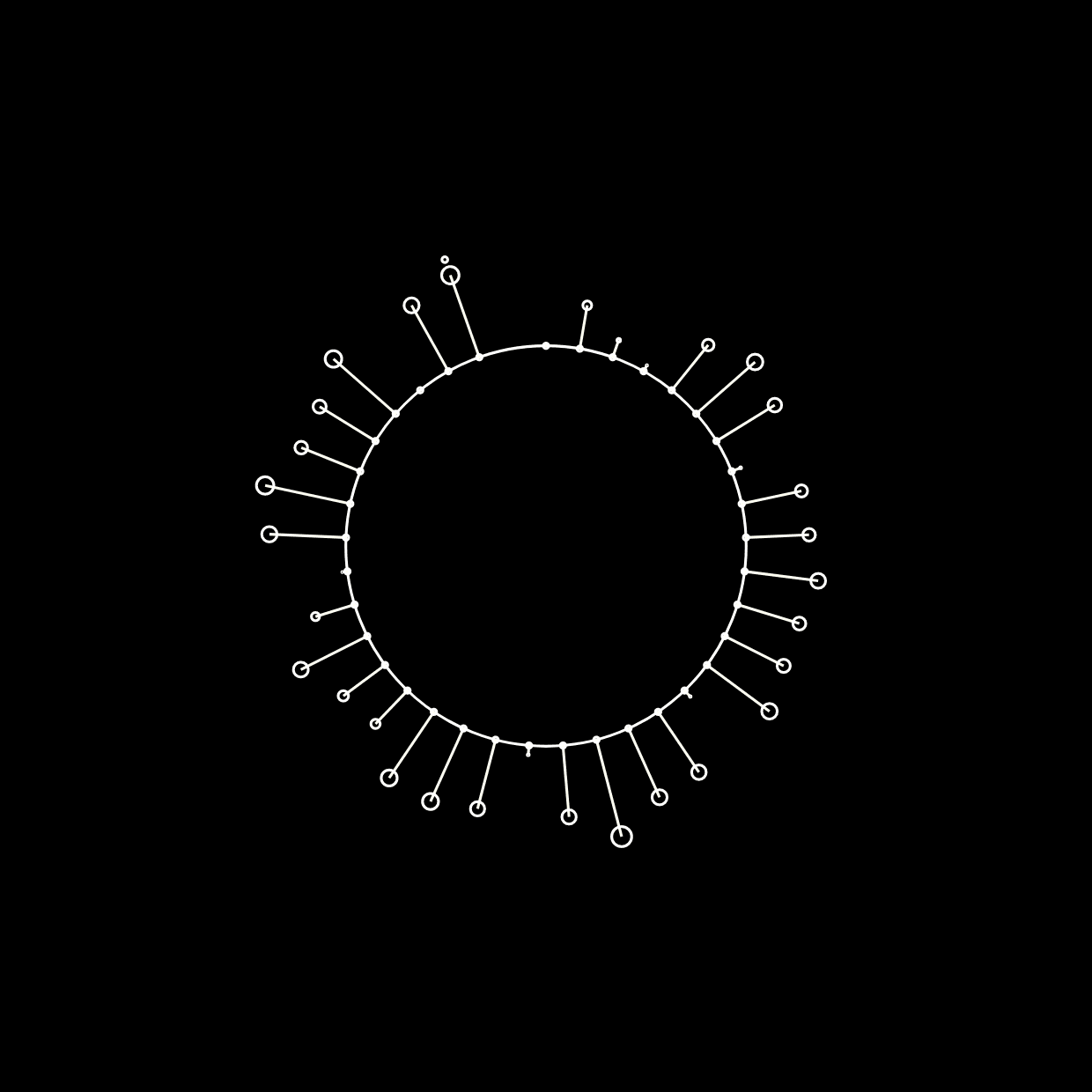 Secular Advocacy, Religious Women and a New Framework for Ideas and Action: Challenges and Possibilities from Bangladesh
