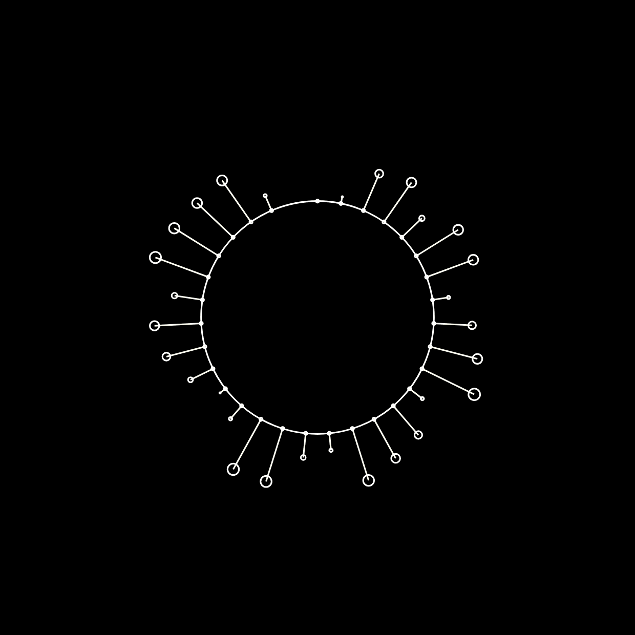 Sleep and Memory - Program