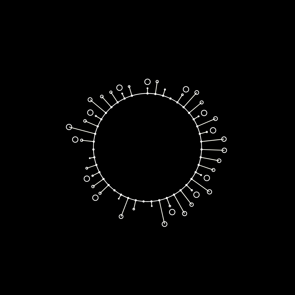 The body in the brain, in the age of the metaverse