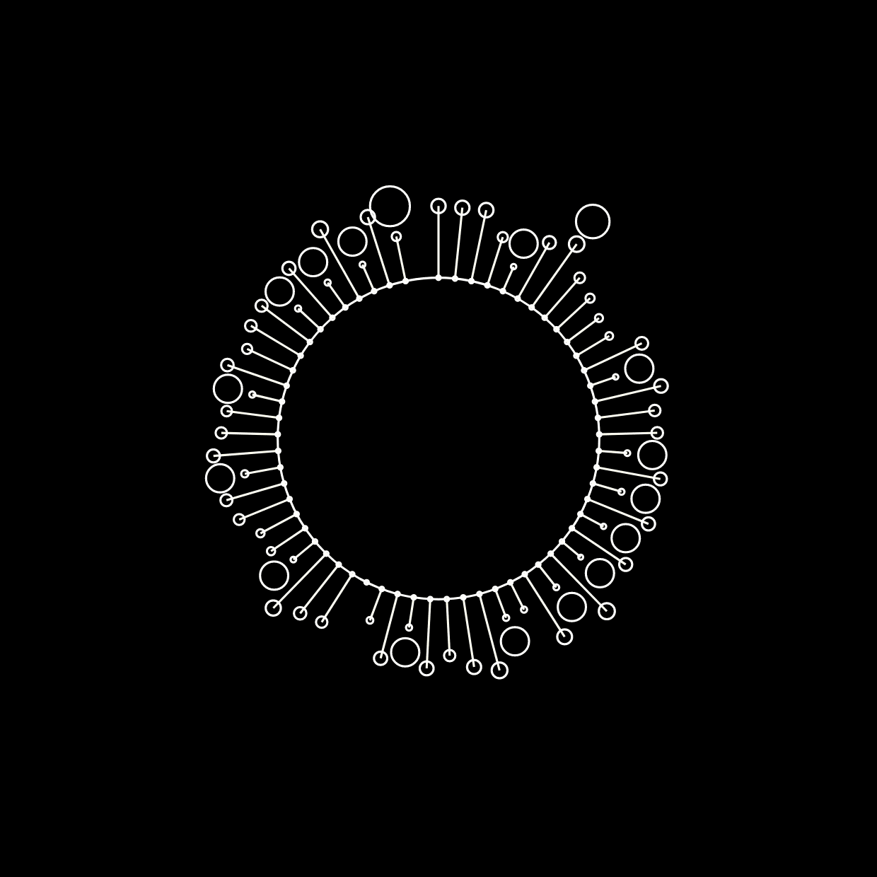 What Is Bias? And Why Are We Biased?