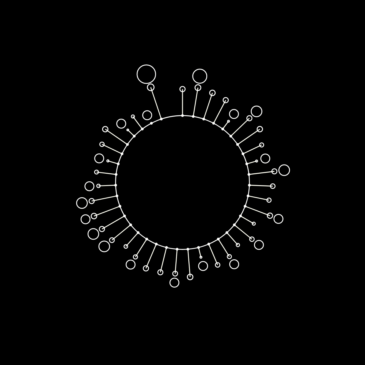 What Kind of Value Is Diversity? A History